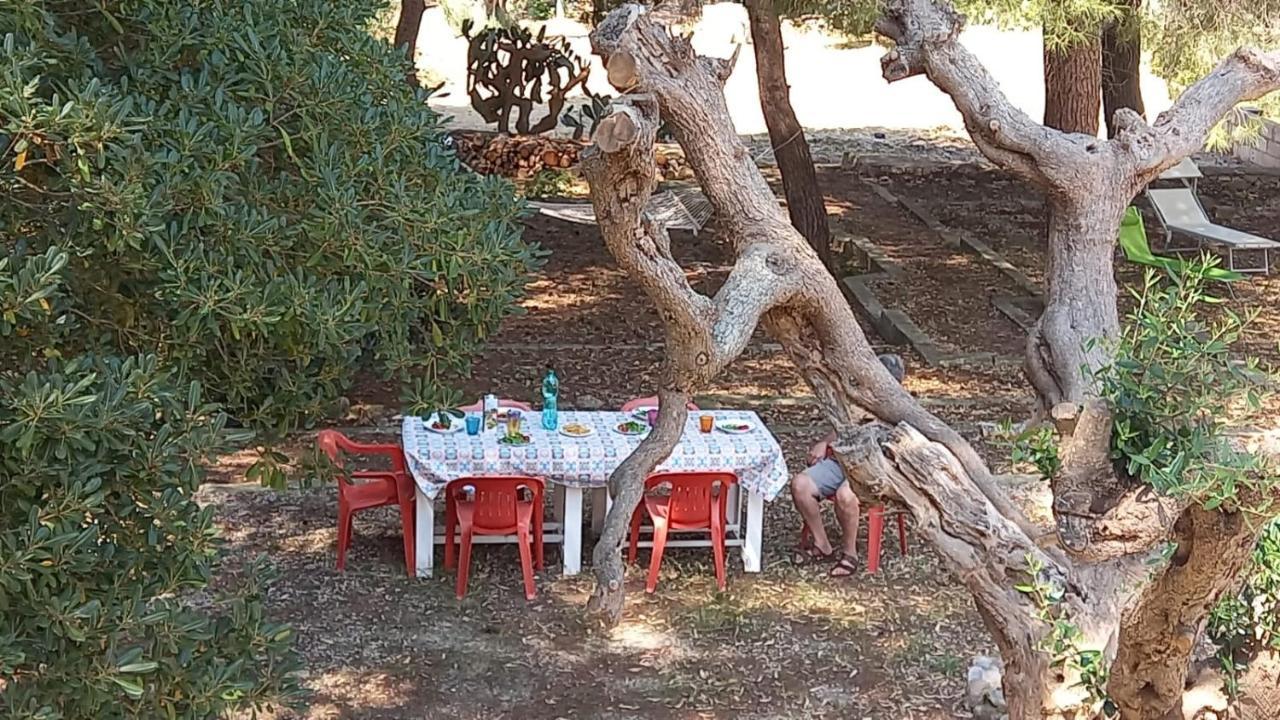 Villa Maria In Puglia Con Pineta Vicino Al Mare Торре-Суда Екстер'єр фото