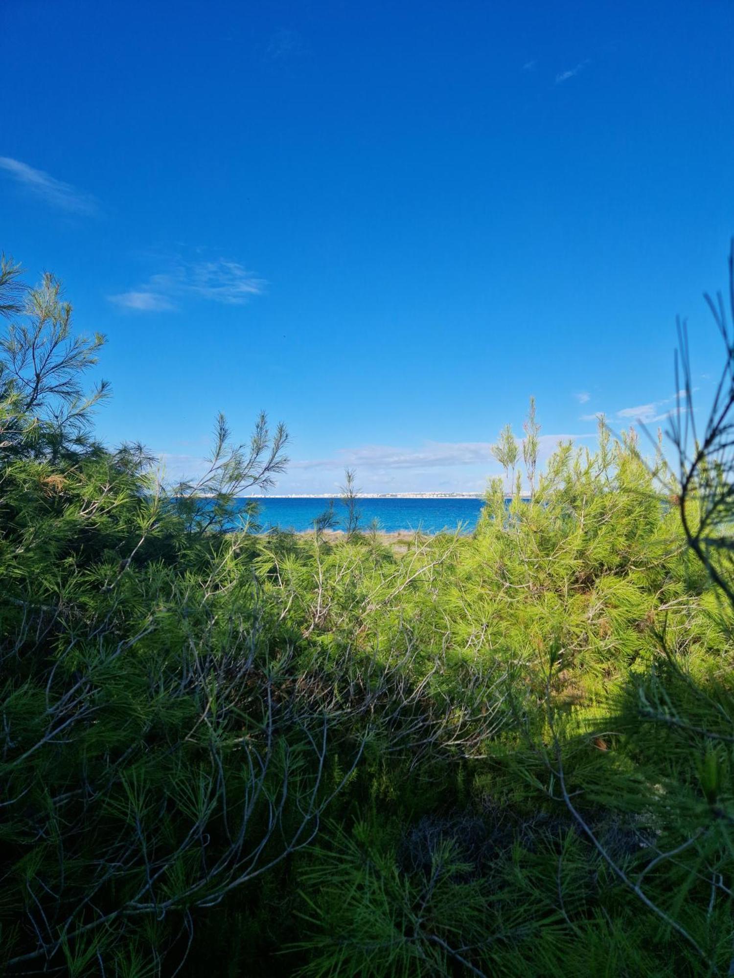 Villa Maria In Puglia Con Pineta Vicino Al Mare Торре-Суда Екстер'єр фото