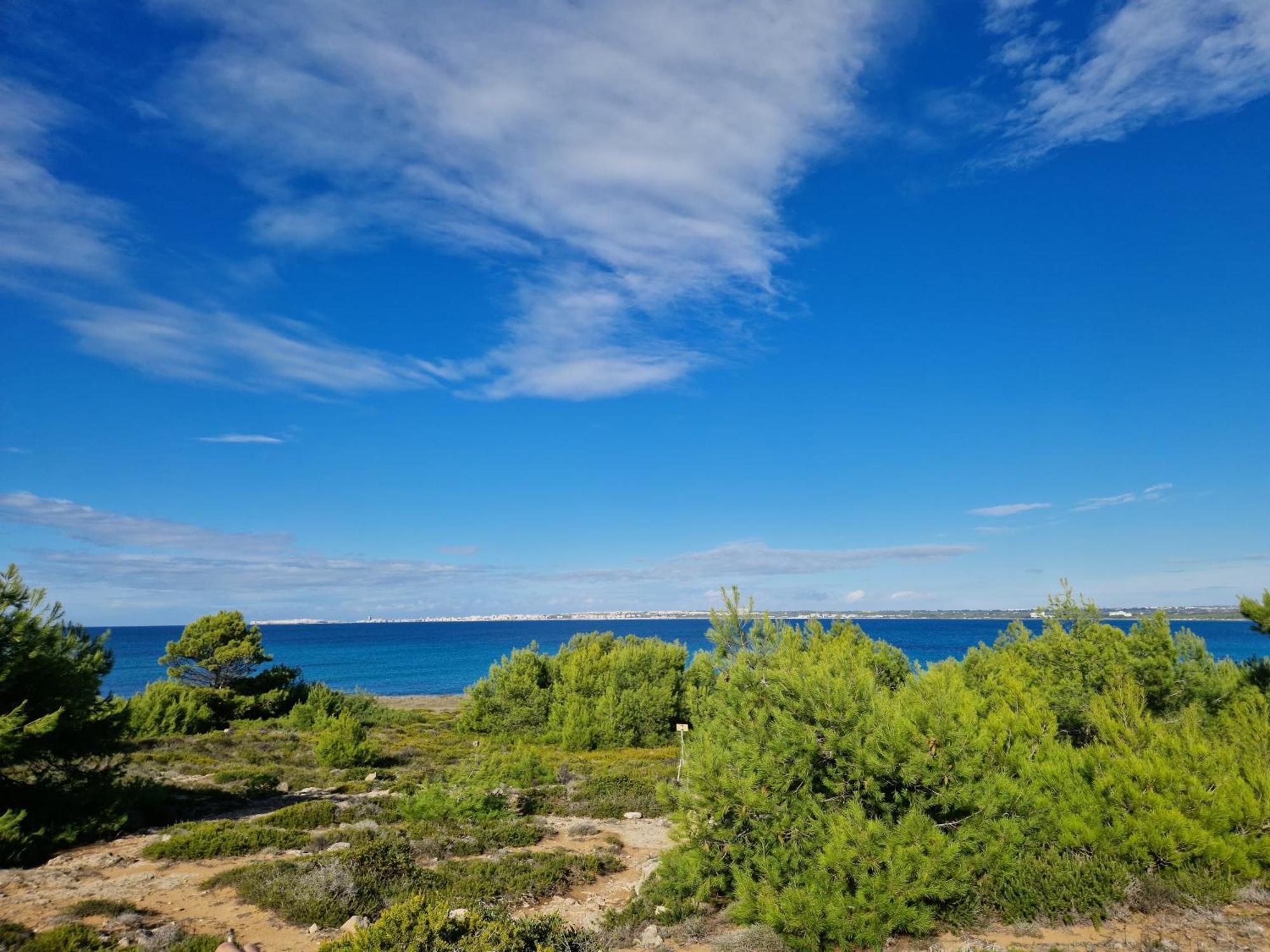 Villa Maria In Puglia Con Pineta Vicino Al Mare Торре-Суда Екстер'єр фото