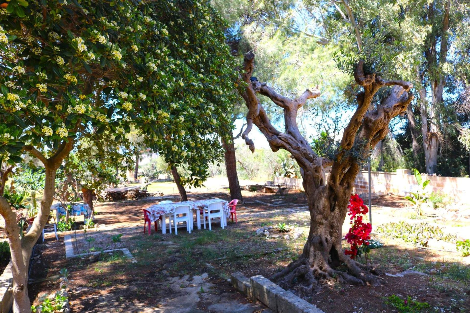 Villa Maria In Puglia Con Pineta Vicino Al Mare Торре-Суда Екстер'єр фото